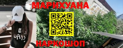 прущие грибы Усть-Илимск